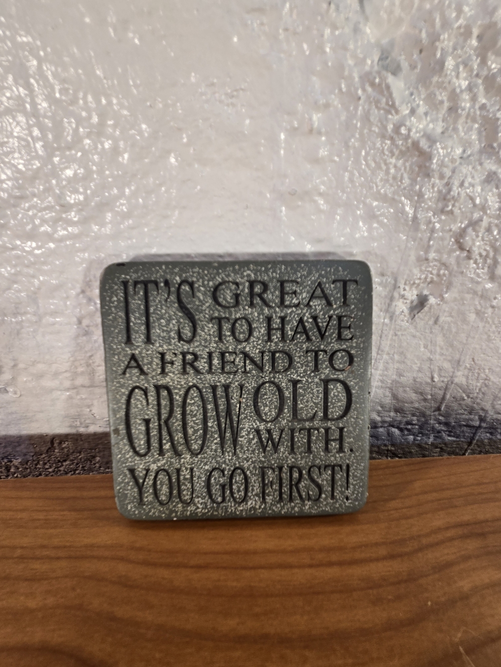 Funny Friend Quote Sign Resin Stone Plaque Grow Old With You Go First Table Desk
